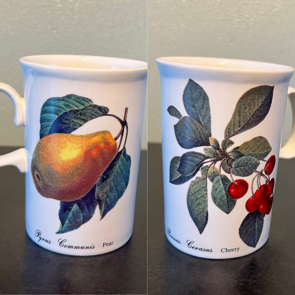 Vintage Dunoon Malvern Mug Scotland Bone China Redoute Fruit Cherries Pear Cup